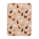 Buscar con vectores imanes Gatos