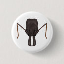 Buscar trampa accesorios Insectos