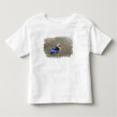 Buscar martín pescador camisetas Vida silvestre