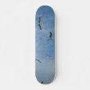 Buscar el volar tablas de skate Cielo
