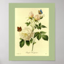 Buscar rosas vintage posters Florista