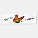 Buscar migración Mariposa
