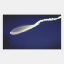 Buscar rocket pegatinas Lanzamiento de cohetes