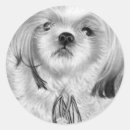 Buscar cachorros pegatinas Nieve