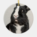 Buscar conejito blanco adornos Adorable