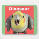 Buscar cockatiel electronica Gallo