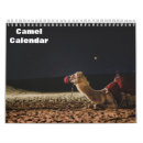 Buscar camellos África