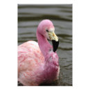 Buscar cautivo posters Nadie