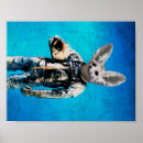 Buscar zorro azul posters Para todos