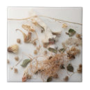 Buscar porcelana azulejos Botánico