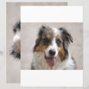 Buscar bobo manualidades Perro