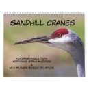 Buscar sandhill Grúas arenosas