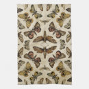 Buscar polillas paños de cocina Insectos