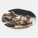 Buscar leones marinos pegatinas Vida silvestre