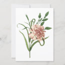 Buscar claveles invitaciones Rosa