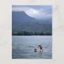 Buscar remo postales Agua