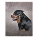 Buscar del perro de perrito posters Animales