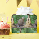 Buscar castor papel de regalo Bosque