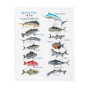 Buscar caza arte General y unisex