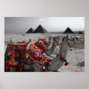 Buscar pyramids Desert
