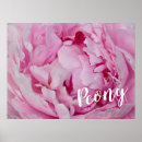 Buscar peony floral posters Inmoralidad