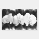 Buscar orquídea negra pegatinas Orquídeas