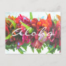 Buscar leus postales Hawaiana
