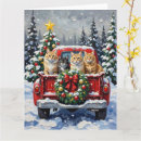 Buscar gato siberiano tarjetas Festivo