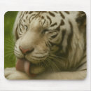 Buscar tiger alfombrillas de raton Pintura de tigre