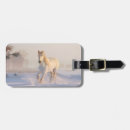 Buscar caballo blanco etiquetas para maletas Nieve