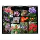 Buscar flores tropicales calendarios Plantas