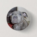 Buscar vigilante chapas Animal