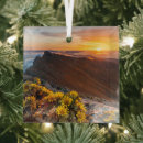 Buscar canarios adornos Naturaleza