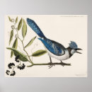 Buscar avispa posters Naturaleza