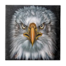 Buscar eagle azulejos Pájaro