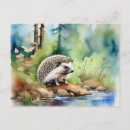 Buscar cute hedgehog postales Acuarela