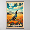 Buscar paisajista posters California