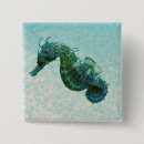 Buscar seahorse chapas Velero