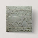 Buscar toro chapas Vaca