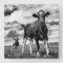 Buscar vacas relojes de pared Paisaje
