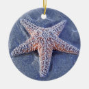 Buscar estrellas de mar adornos Para todos