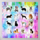 Buscar amo perros posters Cachorros