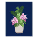 Buscar orquídeas azules posters Tropical