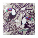 Buscar pájaros tropicales azulejos Hawaiano