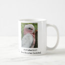 Buscar galah Cockatoo
