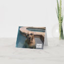 Buscar golden retriever tarjetas Piscina