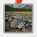 Buscar montaña adornos Frío