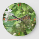 Buscar libélulas relojes de pared Vida silvestre