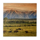 Buscar salida azulejos Horizontal