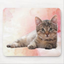 Buscar gato gris y blanco alfombrillas de raton 9 º gata